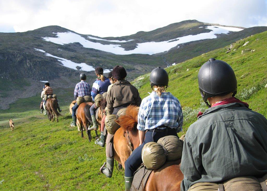 Fjällhästen