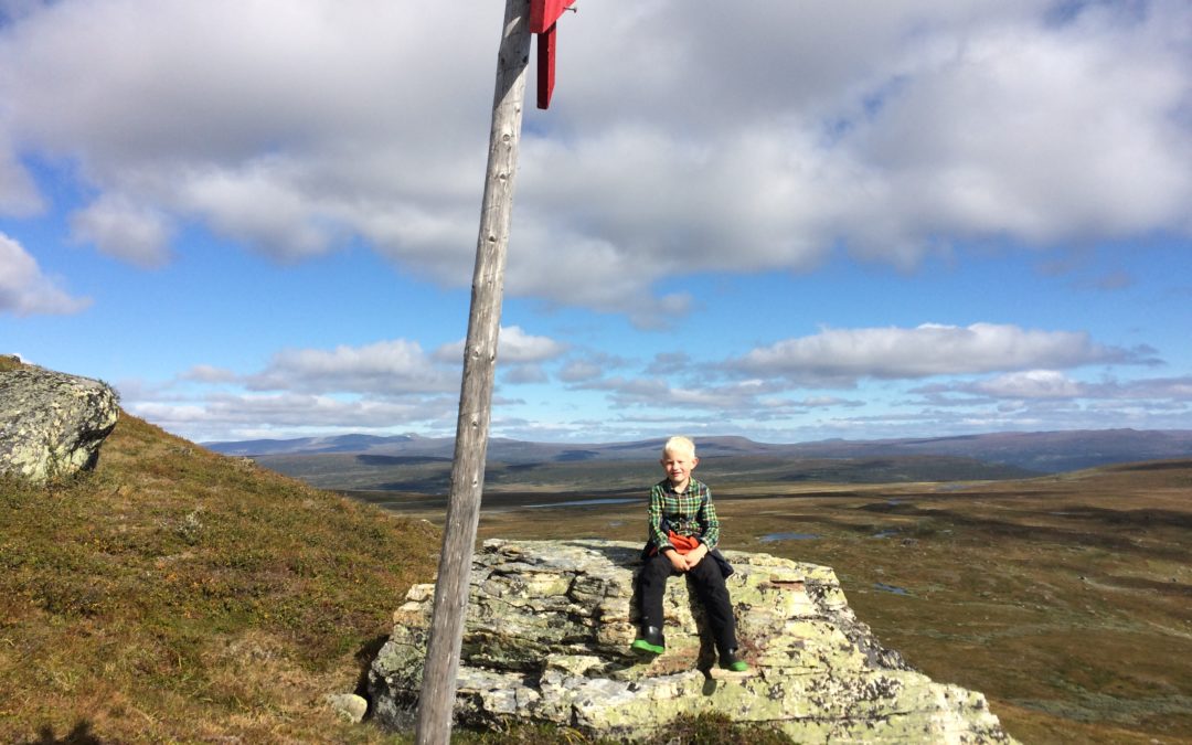 Spår och leder