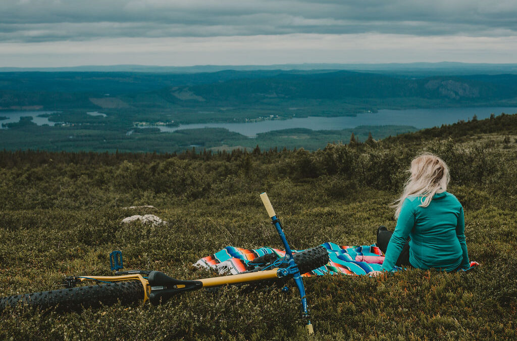 Nalovardo fjällurskogsreservat
