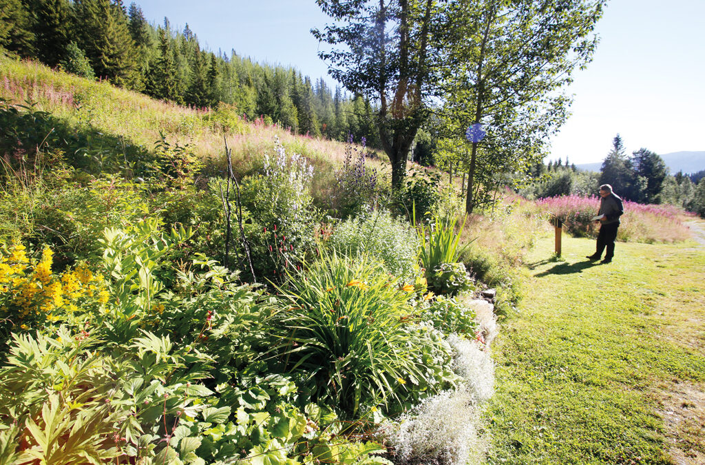 Blomsterlottas trädgård